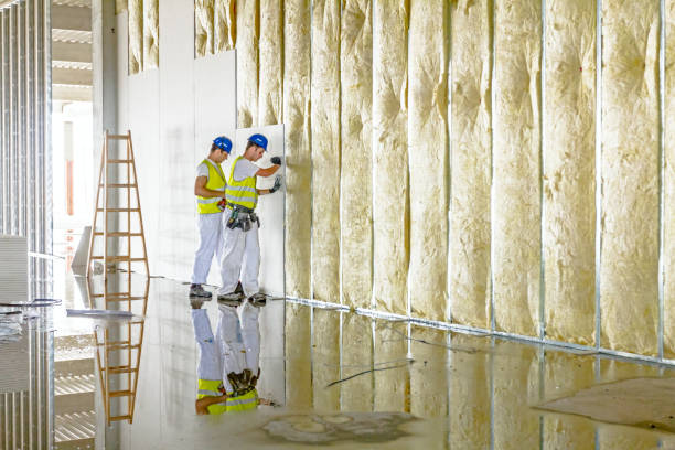 Best Commercial Insulation in Syracuse, KS